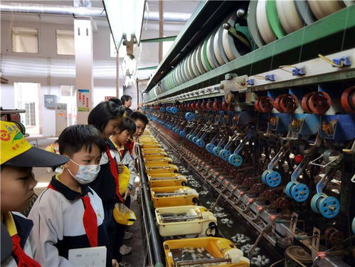 春日蠶桑研學，探秘絲織之美——記佛山南海絲廠文化之旅