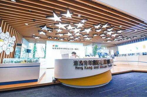 深圳 四十載風華織就城市文化底蘊，經紀人服務賦能藝術新生態