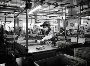 電子廠為何青睞文化較低者？背后真相與文化經紀人的新興服務